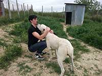 dog snuggles owner